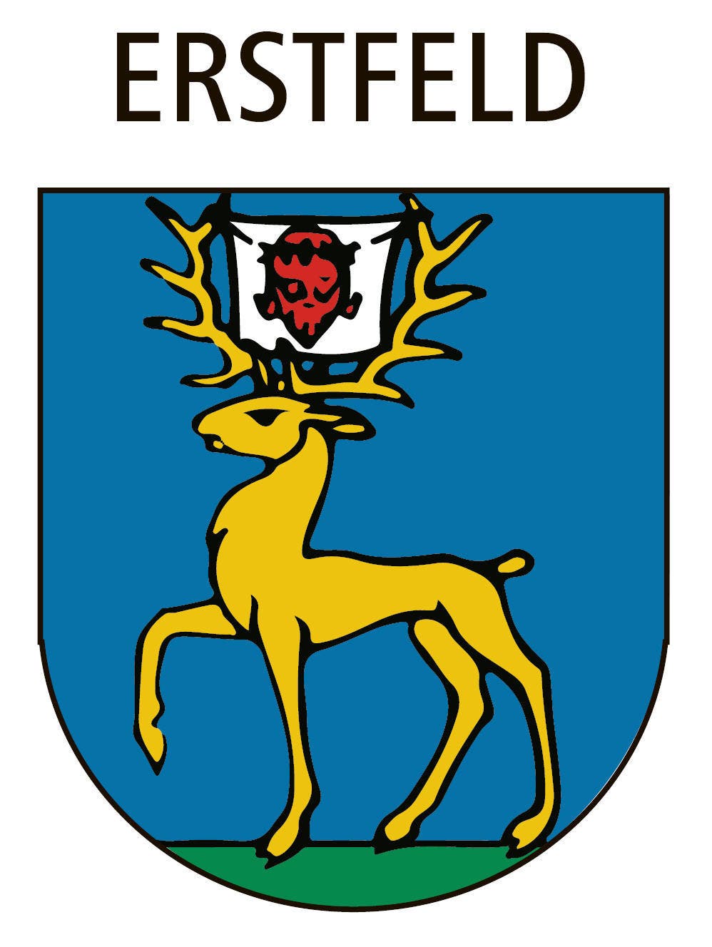 Bild: zvg