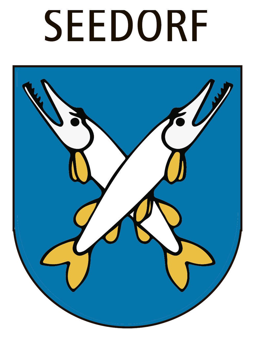 Bild: zvg