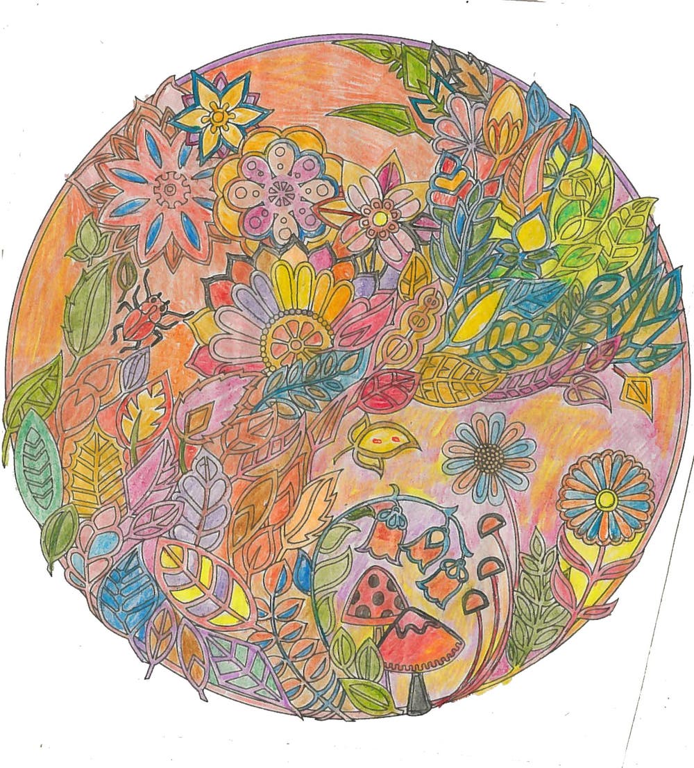 Bild: Margrith Krummenacher, Willisau