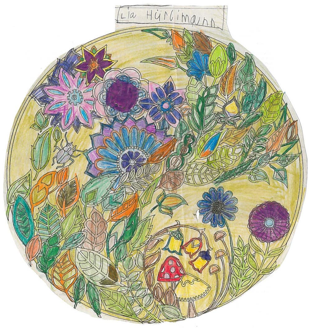 Bild: Lia Hürlimann (7), Morgarten