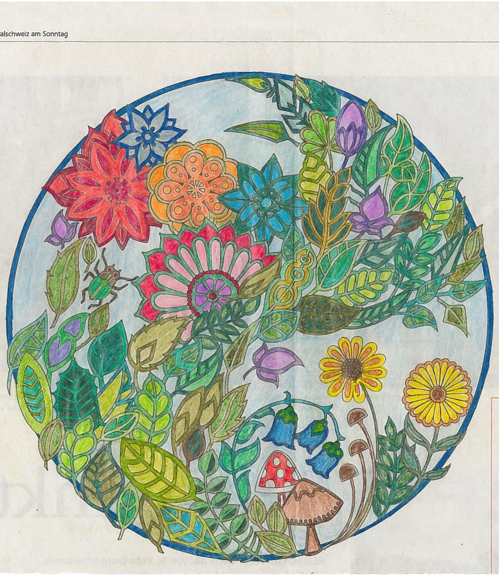 Bild: Alessandri Verena, Schüpfheim