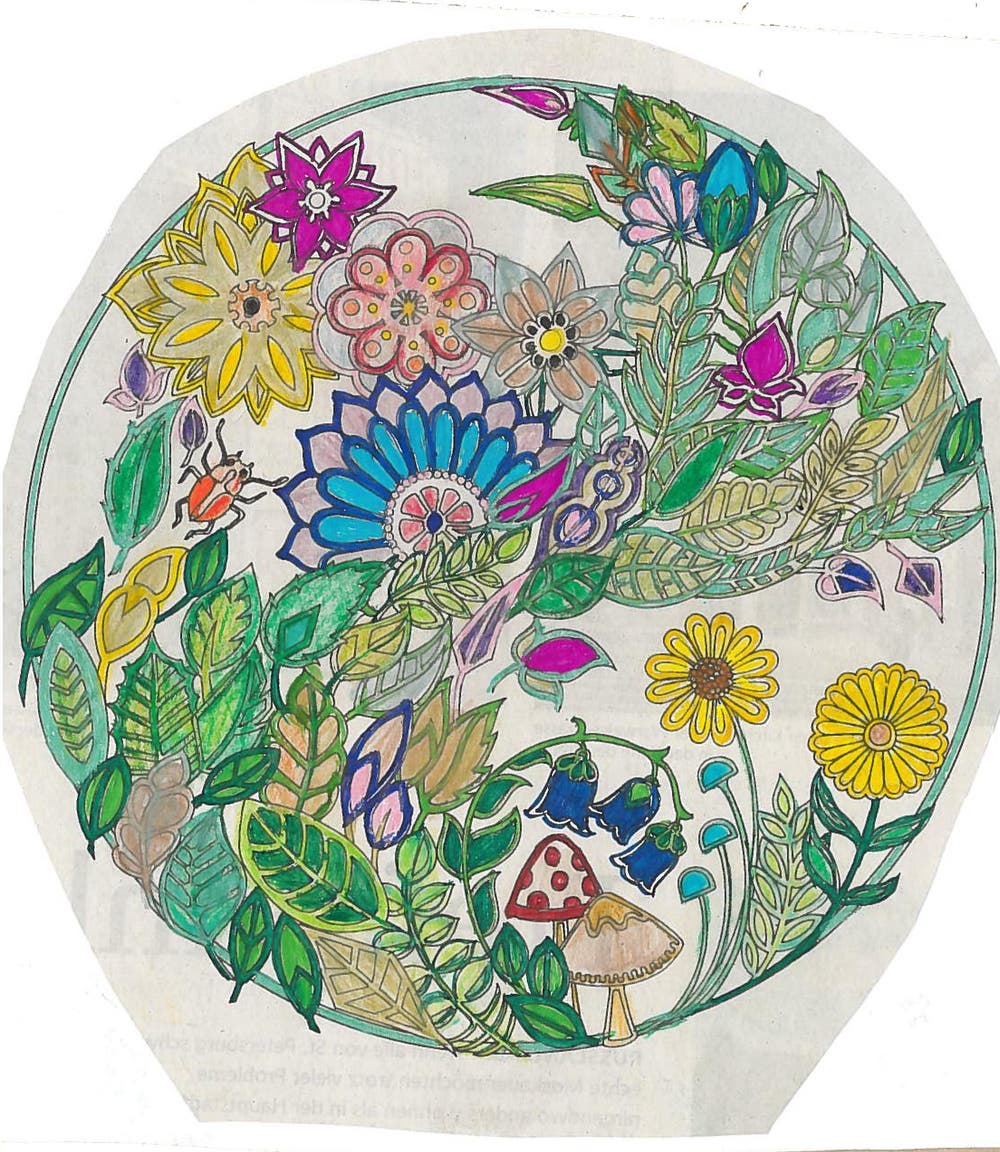 Bild: Frieda Bollnia, Adligenswil