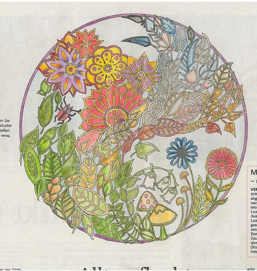 Bild: Susan Meier, Luzern