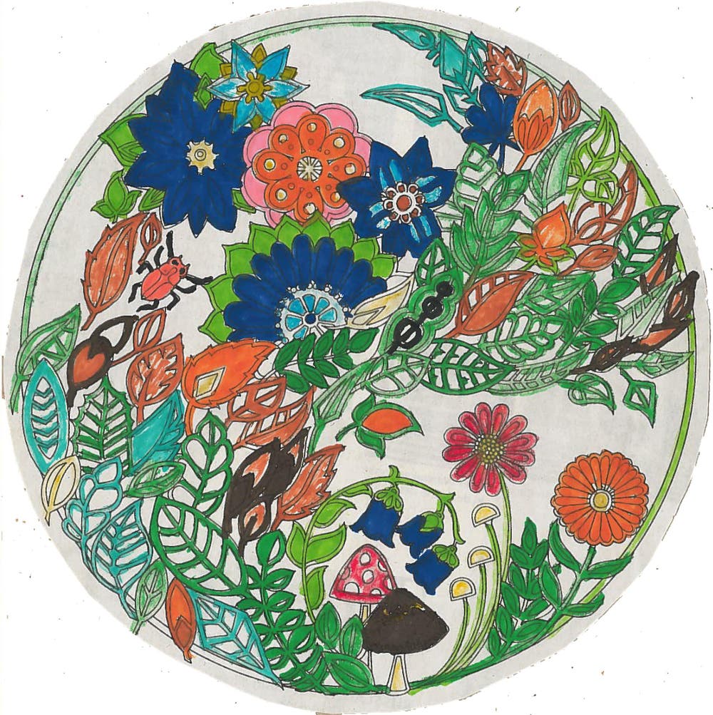Bild: Margret Huwyler, Adligenswil