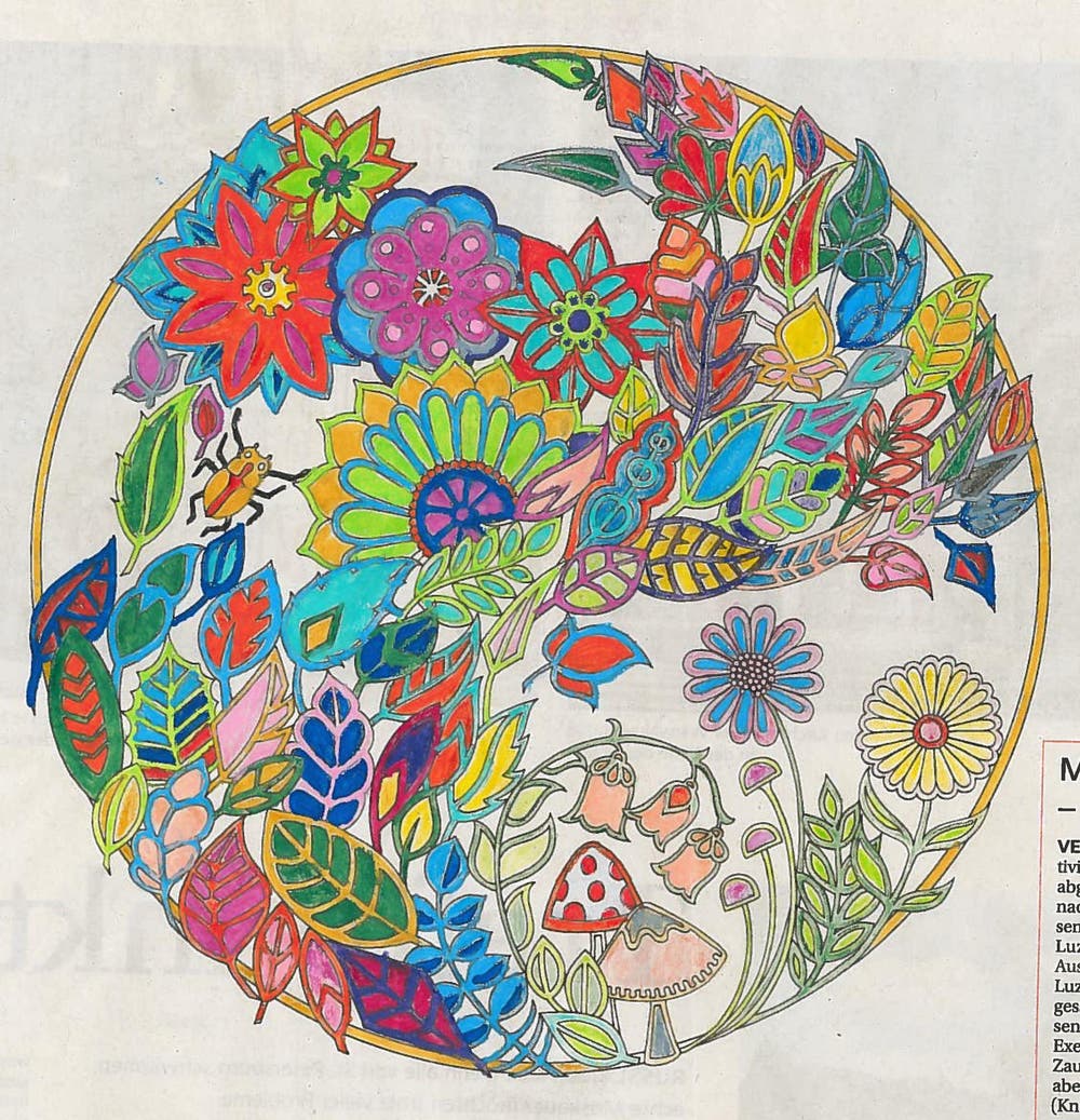 Bild: Daniel Muri, Kriens