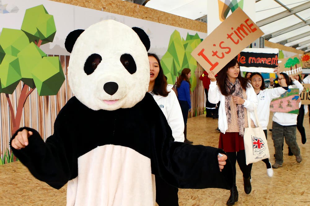 Der Pandabär hält sich raus und führt lieber eine Kundegebungsgruppe aus China an. (Bild: AP Photo/Francois Mori)