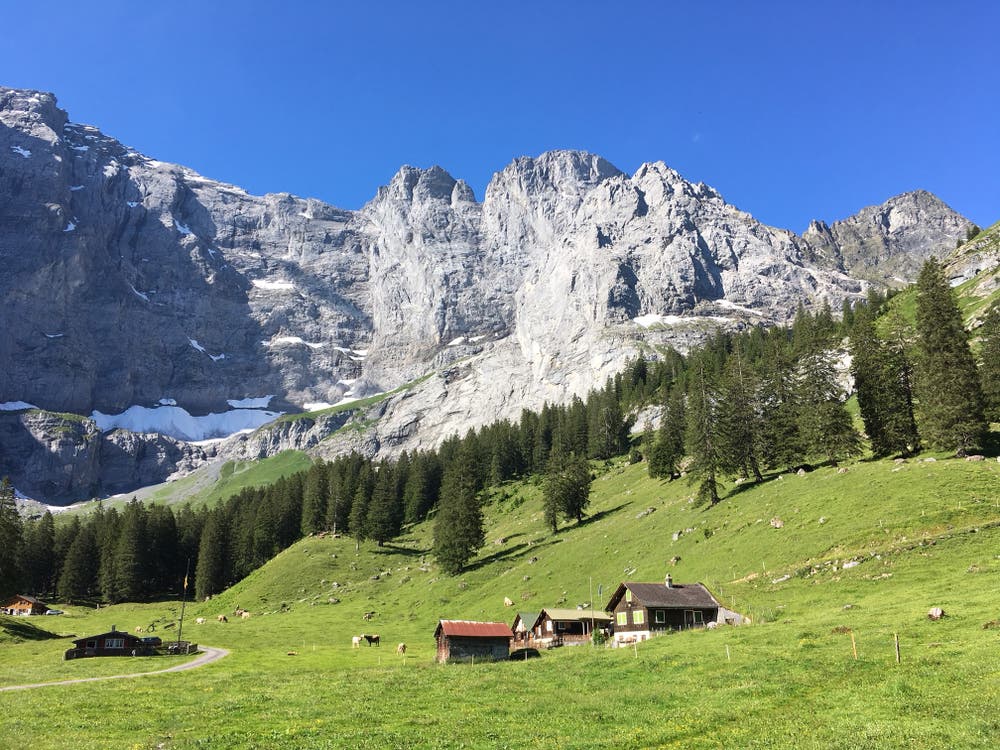Die Brunnialp ist im Sommer ein von Wanderern und Bikern oft aufgesuchter Ort der Ruhe und Erholung. Von Unterschächen her führt der Weg durch das mit reicher Fauna und prächtiger Flora ausgestattete romantische Brunnital zum Ziel am Fusse der imposanten Ruchen-Nordwand. (Bild: Bruno Küttel, Unterschächen, 30. Juni 2018)