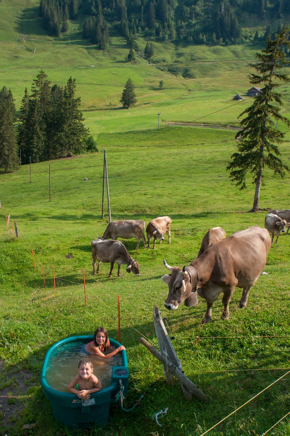 Ein besonders idyllisches Badevergnügen für Ria und This auf der Alp Egghittä (Mörli). (Bild: Lisbeth Burch)