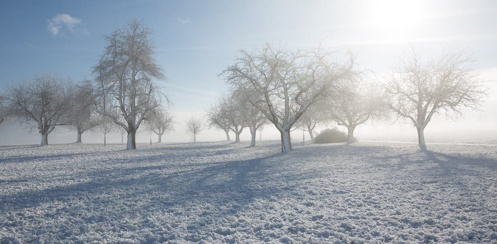 Endlich wieder einmal richtig Winter. (Bild: Priska Ziswiler-Heller (Ettiswil, 18. Januar 2019))