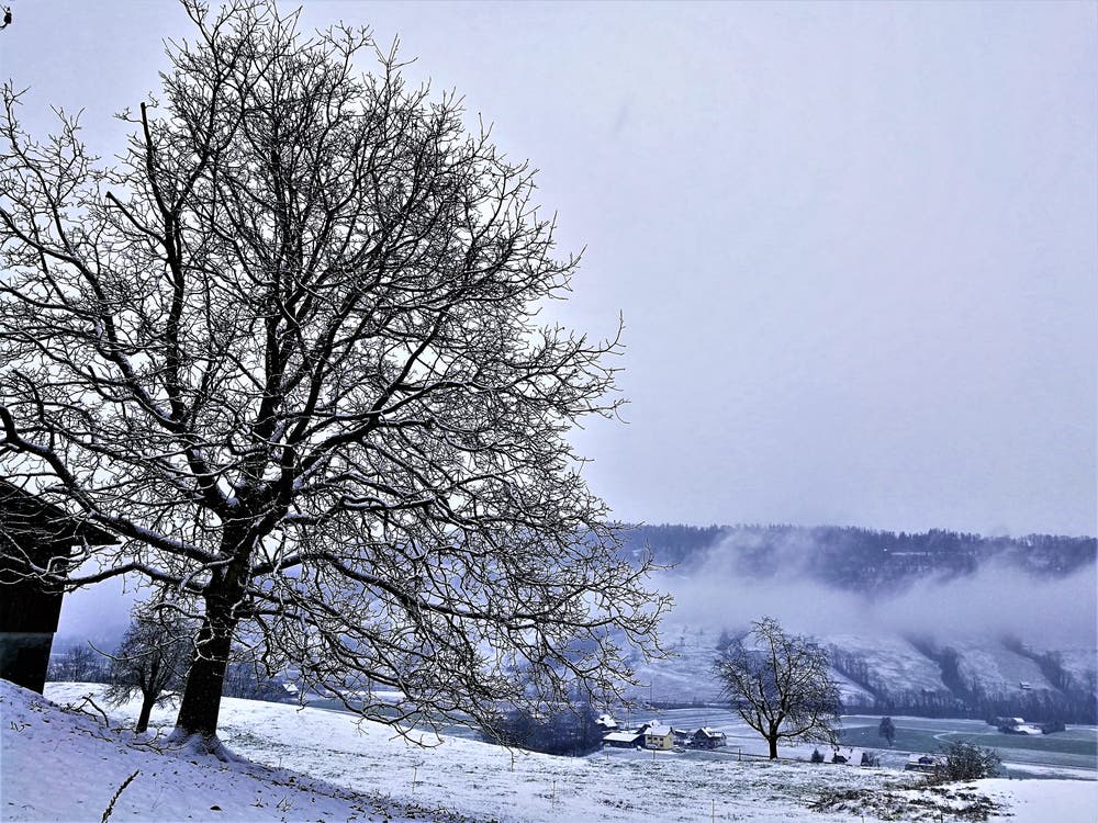 Schnee hat es jetzt auch in Malters. (Bild: Urs Gutfleisch (Malters, 5. Januar 2019))