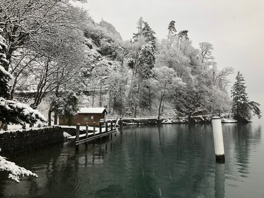Schiffstation Tellsplatte. (Bild: Gabriela Gick (Uri, 5. Januar 2019))