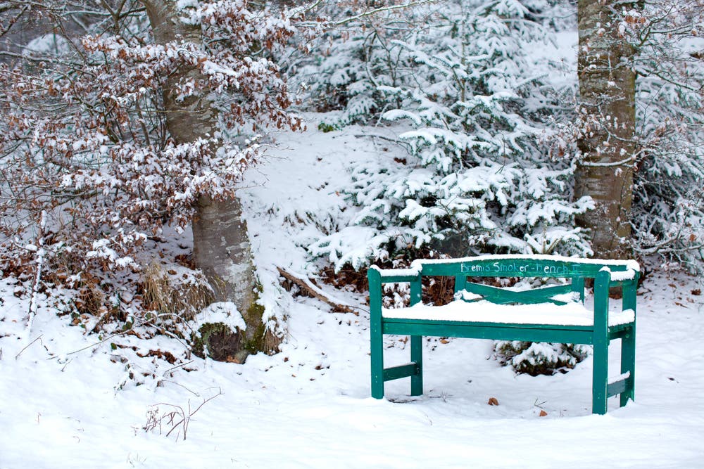 Verschneites Bänkli im Wald. (Bild: Priska Ziswiler-Heller (Ettiswil, 5. Januar 2019))