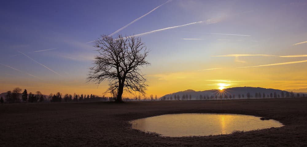 Ein prächtiger Februartag kündigt sich an. Sanft streichen die ersten Sonnenstrahlen über das Moos. (Bild: André Egli, Wauwilermoos, 15. Februar 2019)