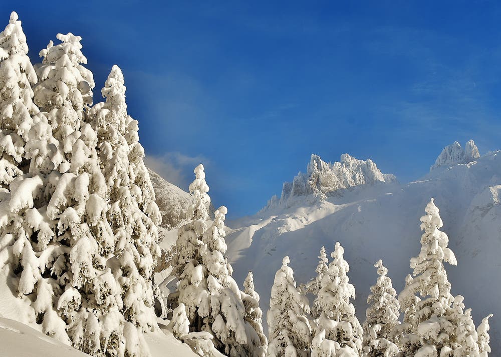 Unterwegs auf dem Schneeschuhpfad Grotzliwäg. (Bild: Hans Burch, Engelberg, 12. Januar 2019)