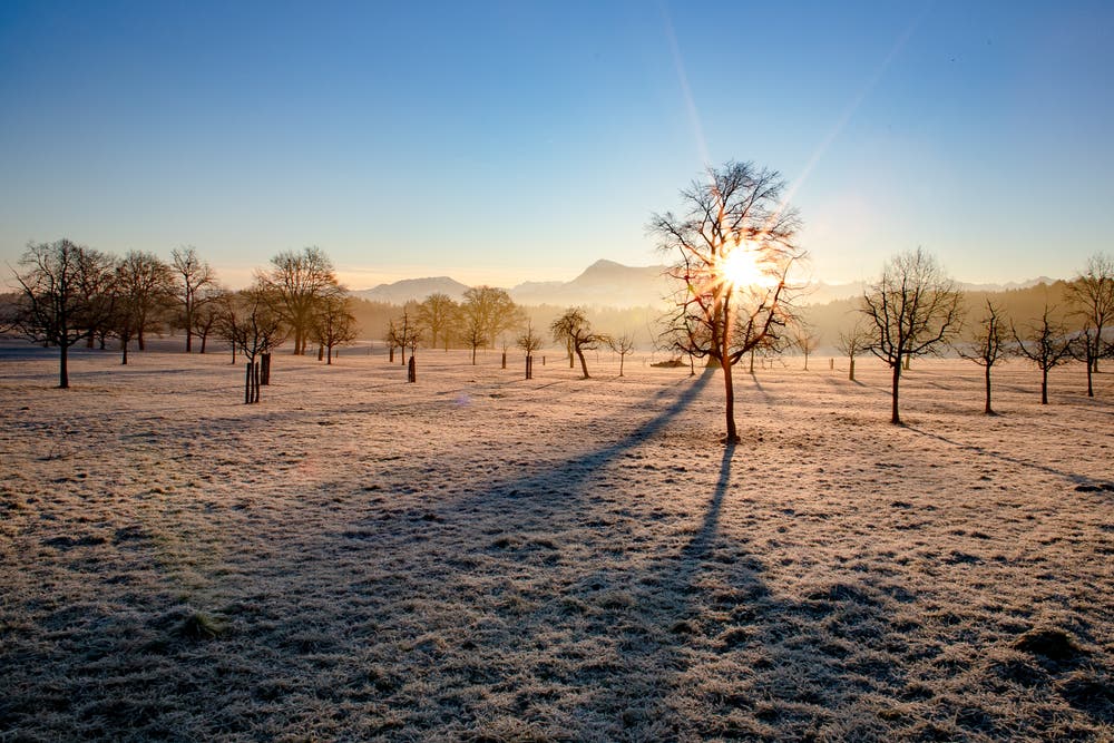 Ein frostiger Morgen in Neuenkirch. (Bild: Franziska Müller, Neuenkirch, 16. Februar 2019)