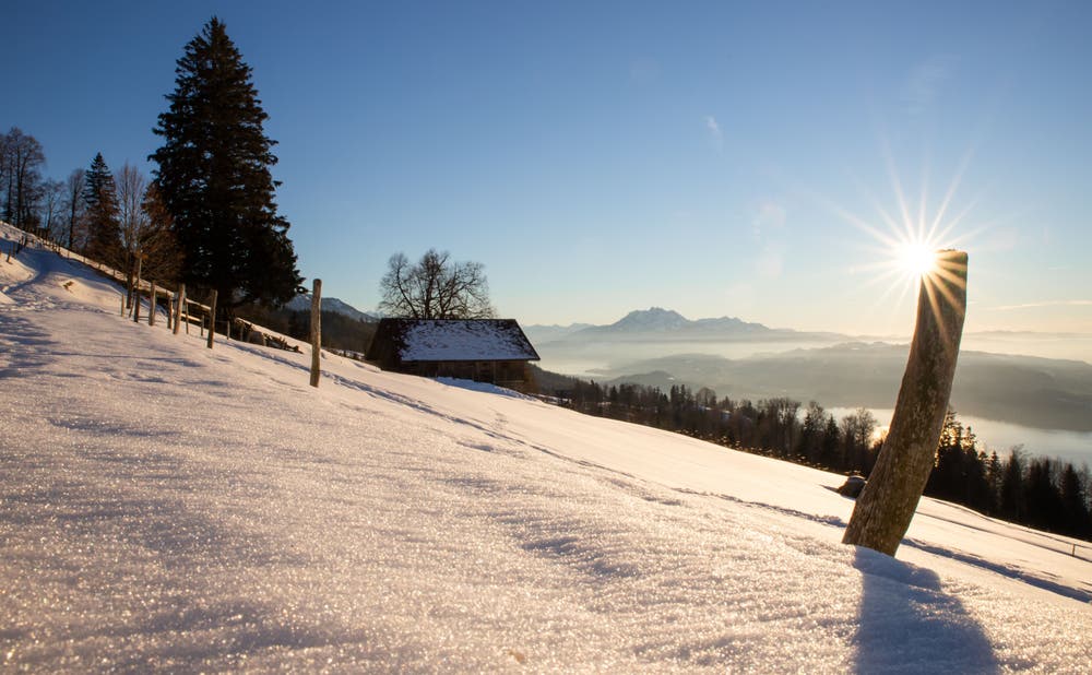 Winterstimmung auf dem Zugerberg. (Bild: Daniel Hegglin (Zugerberg, 16. Februar 2019))