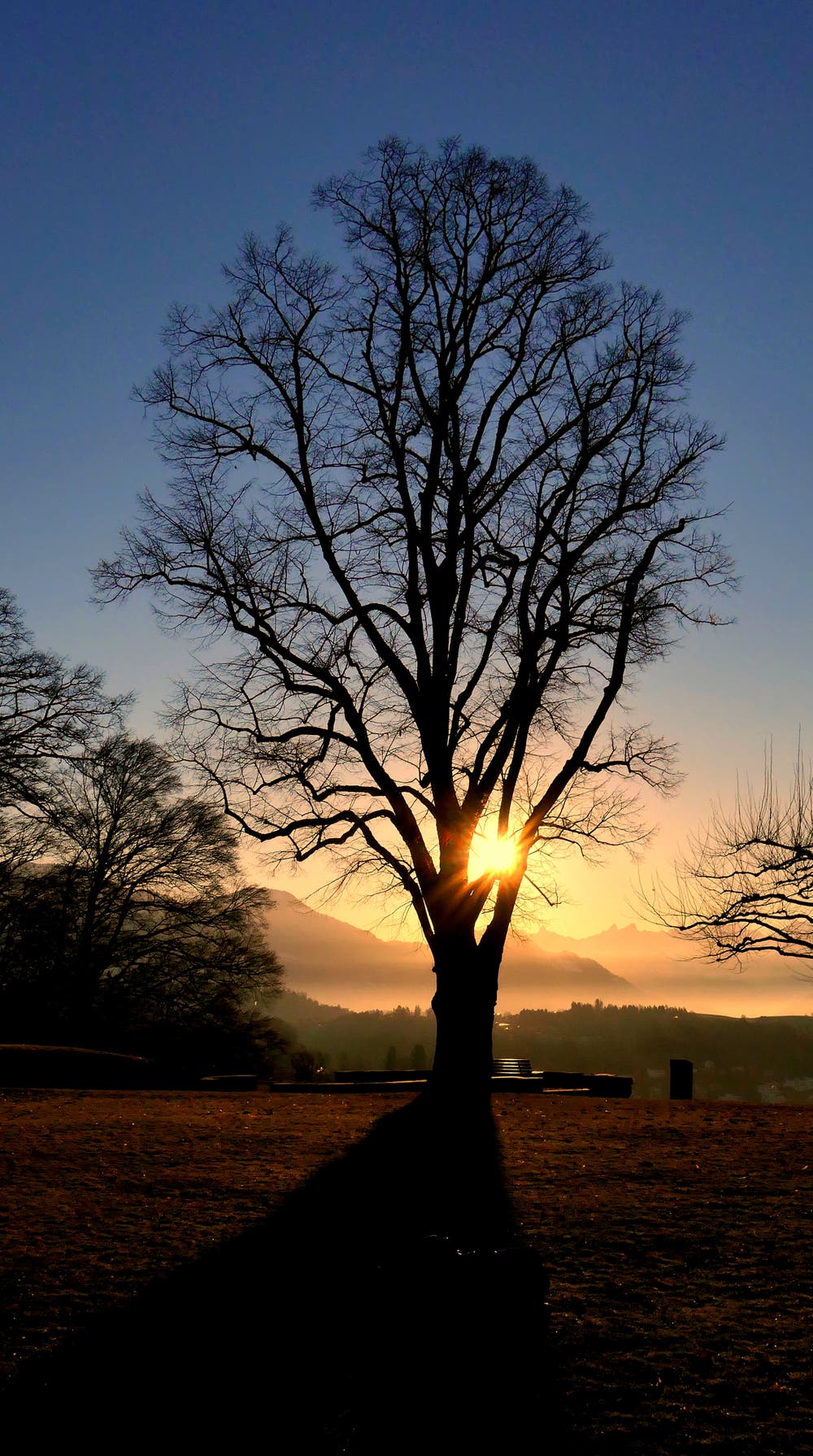 Sonnenaufgang über Dreilinden. (Walter Buholzer (Luzern, 18. Februar 2019))