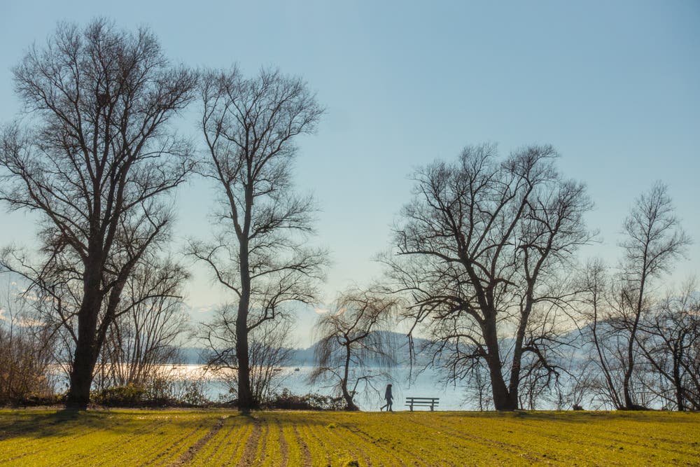 Das warme Grün des Feldes steht im Kontrast zum kalten Blau des Winters. (Bild: Erich Würgler (Zug, 18. Februar 2019))