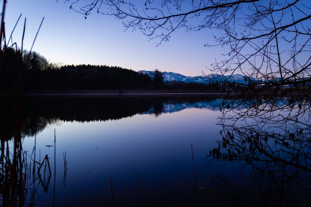 Der Steinibüehlweiher in Sempach zur blauen Stunde. (Bild: Daniel Aegerter, Sempach, 17. Februar 2019)