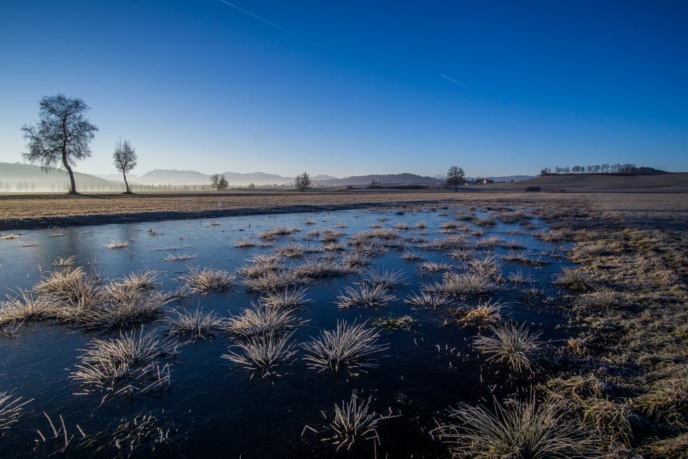Kalter Morgen mit Raureif. (Bild: Vinzenz Blum, Wauwilermoos, 26. Februar 2019)