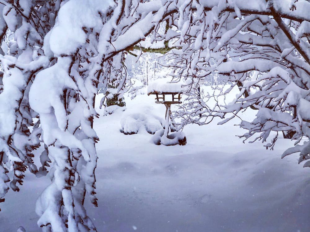 Verschneit in Unterägeri. (Bild: Silke Schmidt, Unterägeri, 3. Februar 2019)