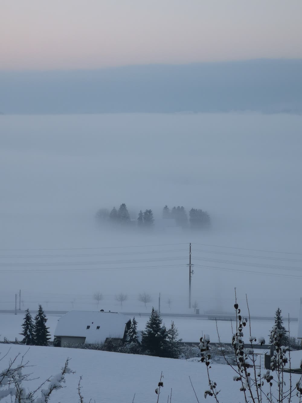 Über dem Nebel. (Bild: Bernadette Wiprächtiger, Kaltbach, 5. Februar 2019)