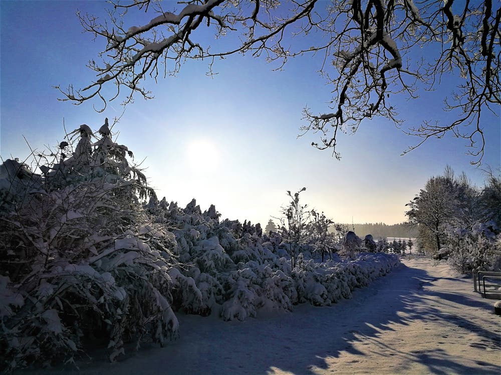 Winterliche Impressionen von Neudorf. (Bild: Urs Gutfleisch (Neudorf, 4. Februar 2019))