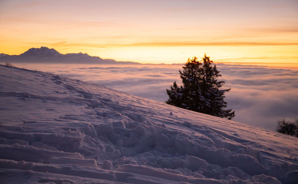 Abendrot auf dem verschneiten Zugerberg. (Bild: Daniel Hegglin, 5. Februar 2019)