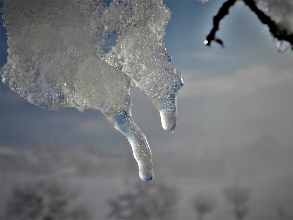 Das Tauwetter mit seinen wunderschönen Kunstwerken. Aufgenommen auf dem Golfplatz Meggen. (Bild: Margrith Imhof-Röthlin, Meggen, 5. Februar 2019)