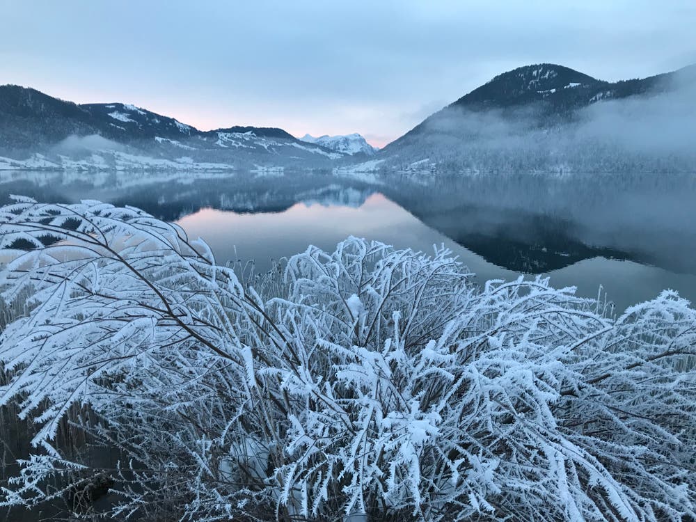 Spiegel auf dem Ägerisee. (Bild: Enrico Schildknecht, Oberägeri, 7. Februar 2019)