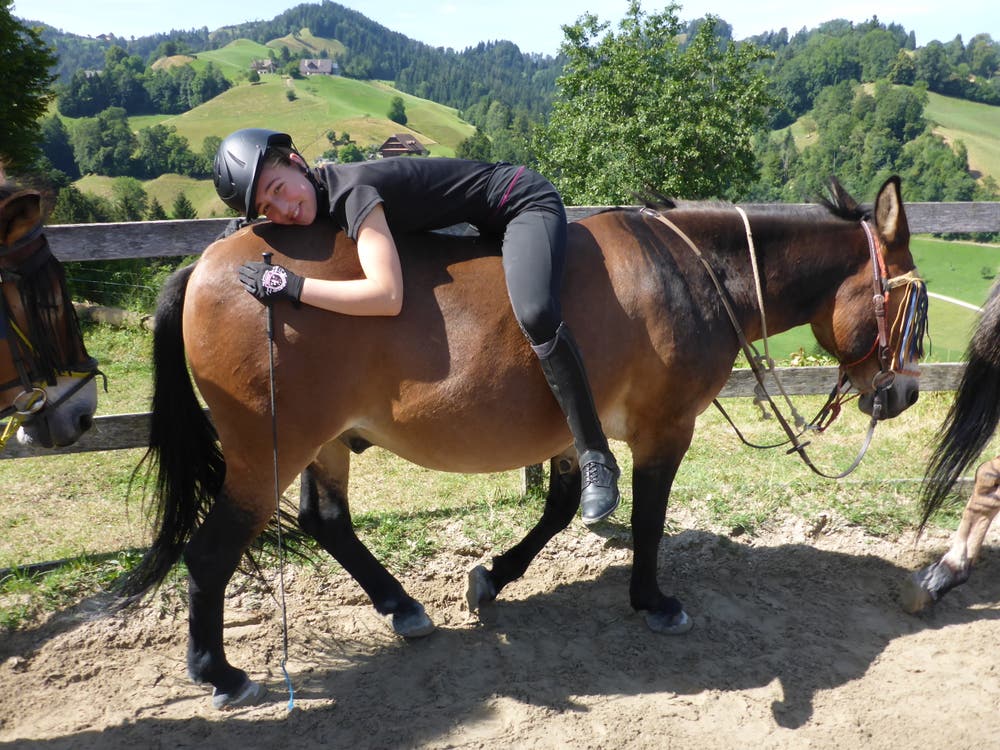 Auch eine Variante: Chiara prüft auf dem Muli Franco alternative Reitmethoden. (Bild: Reitferiencamp mit Maultieren, Willisau, 4. August, 2019)