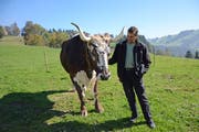 Tierbetreuer Martin Fässler mit seinem Lieblingsochsen Peter. Das neun Jahre alte Tier bringt rund 1200 Kilo auf die Waage. (Bild: Karin Erni)