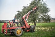 Philipp Hafner bei seiner Arbeit. Für die Anfahrt verrechnet er jeweils 80 Franken, eine Stunde Baumrütteln kostet 196 Franken.