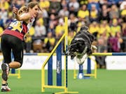 Sennwalder Top-Team: Tanja Fähndrich und Phoenix. (Bild: PD)