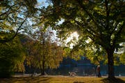 Der Herbst zeigt sich dieses Jahr von seiner sonnigen Seite. (Symbolbild: Melanie Duchene/Keystone)