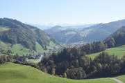 Das Neckertal von Oberhelfenschwil aus in Richtung Brunnadern. Kommt die Fusion zu Stande, würde das neue Gemeindegebilde eine Fläche von beinahe 82 Quadratkilometern umfassen und wäre damit flächenmässig die fünftgrösste Gemeinde im Kanton St. Gallen. (Bild: Urs M. Hemm)