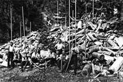 Stolz posieren Flösser 1919 im Palankatobel vor einem riesigen Haufen «Trämel». Die Baumstämme wurden vor dem Flössen in 1 Meter lange Stücke zersägt und in den Bach gestossen. Die langen Stangen dienten dem «Leiten» des Holzes im Wasser. Beim Bildstöckli zogen die Flösser das Holz mit «Zappyyen» aus dem Wasser. (Bild: PD)