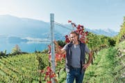 Marco Casanova auf seinem Weinberg der Casanova WeinPur AG in Walenstadt. (Bild: Thomas Henry)