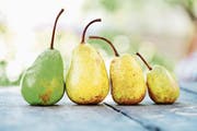 Birnen zeichnen sich durch eine grosse Formenvielfalt aus, sind aber eine durch und durch runde Frucht. (Bild: Getty)