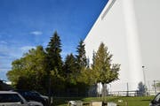 Bald Grau in Weiss statt Grün in Weiss? Diese Waldparzelle neben der Silo AG soll einem Parkplatz weichen. (Bild Nicola Ryser)