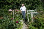 CVP-Ständerat Peter Hegglin (hier in seinem Garten in Edlibach) bringt sich für den Bundesratssitz ins Spiel.Bild: Ennio Leanza/Keystone (24. Juni 2015)