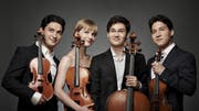 Das Schumann-Quartett brillierte auf dem Pilatus. (Bild PD)