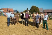 Die Gewinner der wichtigsten Kategorien der Kirchberger Viehschau, von links: Ueli und Nicole Maute mit Vreni («Champion Original Braunvieh OB»), Alois Graf mit Nastdonia («Champion Fleckvieh»), Andreas Niederer mit Dallas («Miss Kirchberg») und Arno Brägger mit Ulena («Miss Bazenheid»). (Bild: Beat Lanzendorfer)