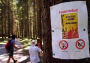 Anfang August hat auch die Gemeinde Grabs ein absolutes Feuer- und Rauchverbot im Wald und in Waldesnähe erlassen, wie hier in der Nähe des Voralpsees. Derzeit gilt hier noch die Gefahrenstufe 3, es gilt noch kein absolutes Verbot. (Bild: Eddy Risch/Keystone)