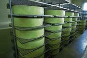 Die Sortenorganisation Emmentaler Switzerland befasst sich jetzt selber mit den Unregelmässigkeiten. (Bild: Symbolbild: Heinz Abegglen)