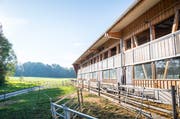 Stall des Anstosses: In diesem landwirtschaftlichen Gebäude hält Bauer A. Z. maximal 588 Schafe. (Bild: Andrea Stalder)