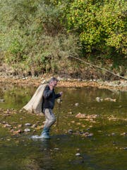 54 Männer und Frauen suchten das Thur-Flussbett nach Müll ab. (Bild: Sascha Erni)