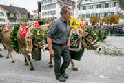 Das Säntä Veh war prächtig geschmückt. (Bild: André A. Niederberger (Stans 21.10.2018))
