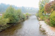 Bei der Thursanierung soll das Flussbett oberhalb der Waisenhausbrücke und hier unterhalb des Bleichestegs verbreitert werden. Hier würde die Aufweitung auf dem linken Ufer erfolgen. (Bild: Beat Lanzendorfer)