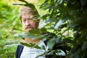 Für Sam Hess ist der Wald «eine Oase der Ruhe und der Stille». (Bild: Jakob Ineichen, 17. Oktober 2018)